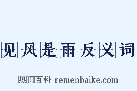 见风是雨反义词是什么意思的图片